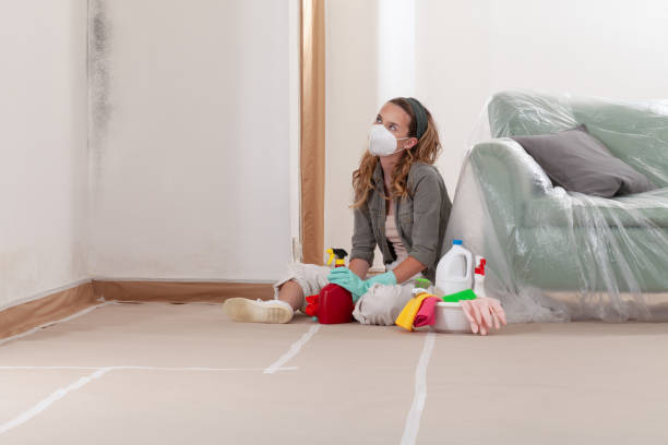 Reliable Mold Remediation contractor in Naperville, IL by Mold Remediation HQ